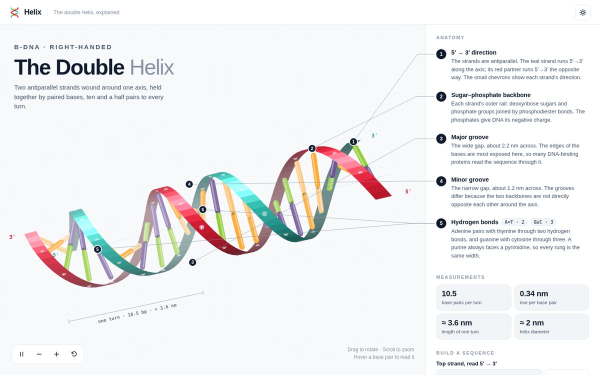 Preview of Helix — The Double Helix Explained